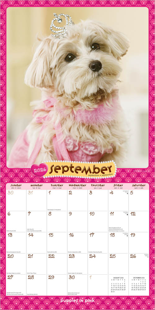 Puppies in Pink | 2026 12 x 24 Inch (Hanging) Monthly Square Wall Calendar
