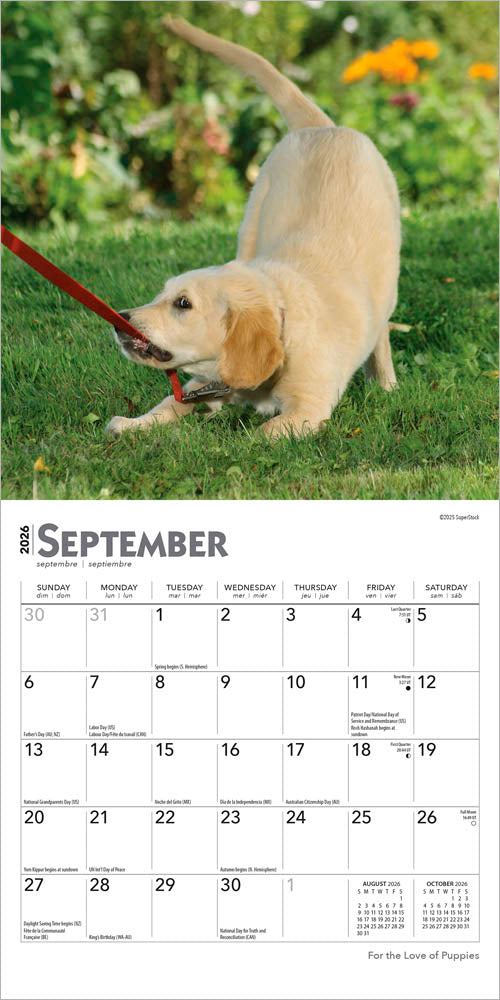 For the Love of Puppies | 2026 7 x 14 Inch (Hanging) Monthly Mini Wall Calendar