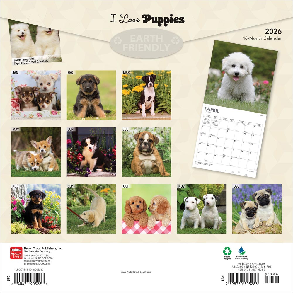 I Love Puppies | 2026 12 x 24 Inch (Hanging) Monthly Square Wall Calendar