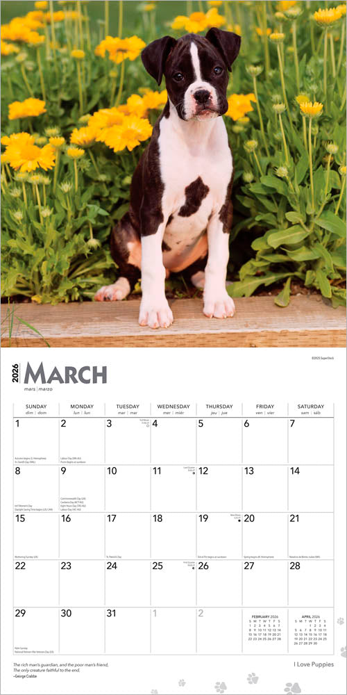 I Love Puppies | 2026 12 x 24 Inch (Hanging) Monthly Square Wall Calendar