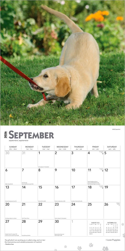 I Love Puppies | 2026 12 x 24 Inch (Hanging) Monthly Square Wall Calendar