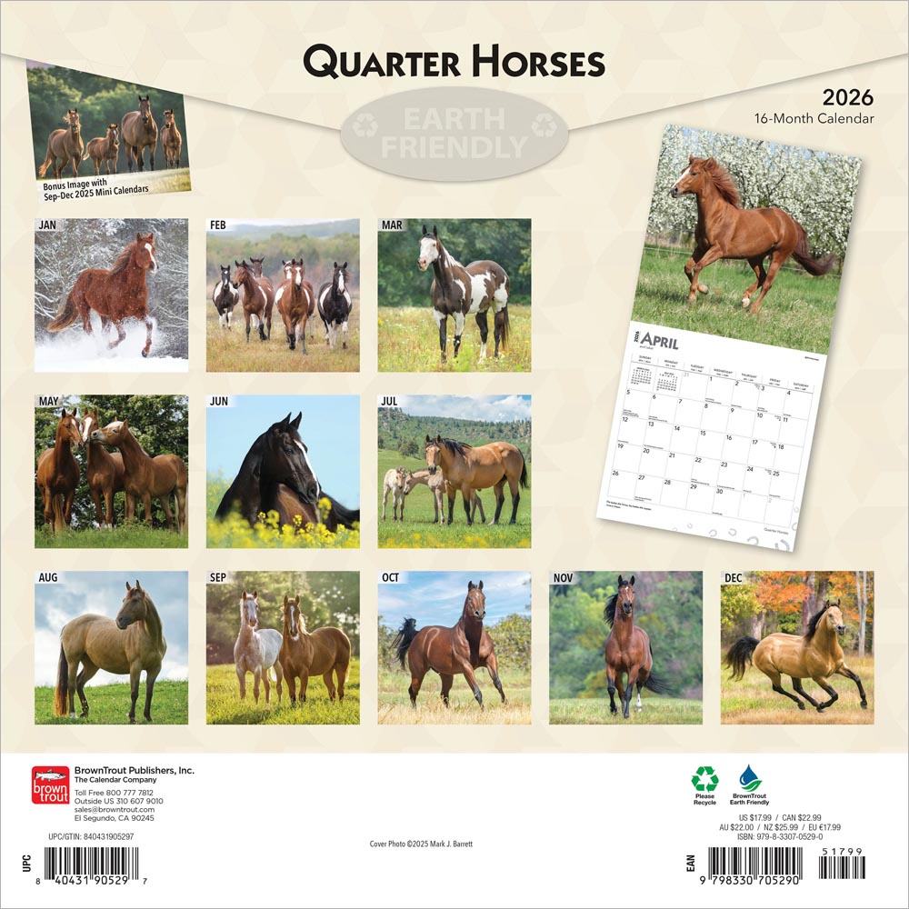 Quarter Horses | 2026 12 x 24 Inch (Hanging) Monthly Square Wall Calendar