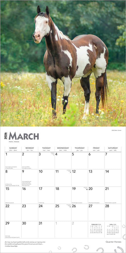 Quarter Horses | 2026 12 x 24 Inch (Hanging) Monthly Square Wall Calendar