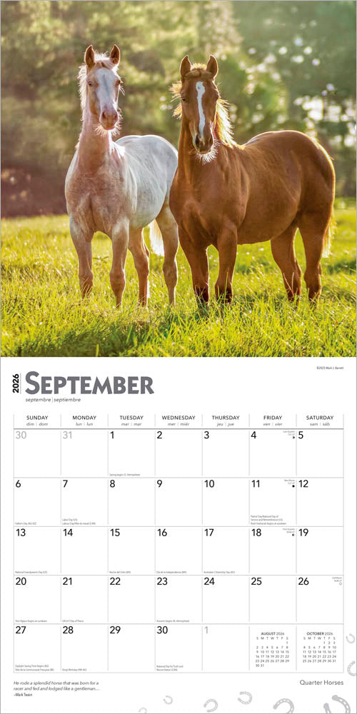 Quarter Horses | 2026 12 x 24 Inch (Hanging) Monthly Square Wall Calendar