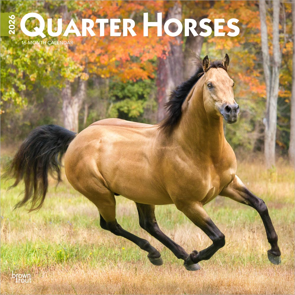 Quarter Horses | 2026 12 x 24 Inch (Hanging) Monthly Square Wall Calendar