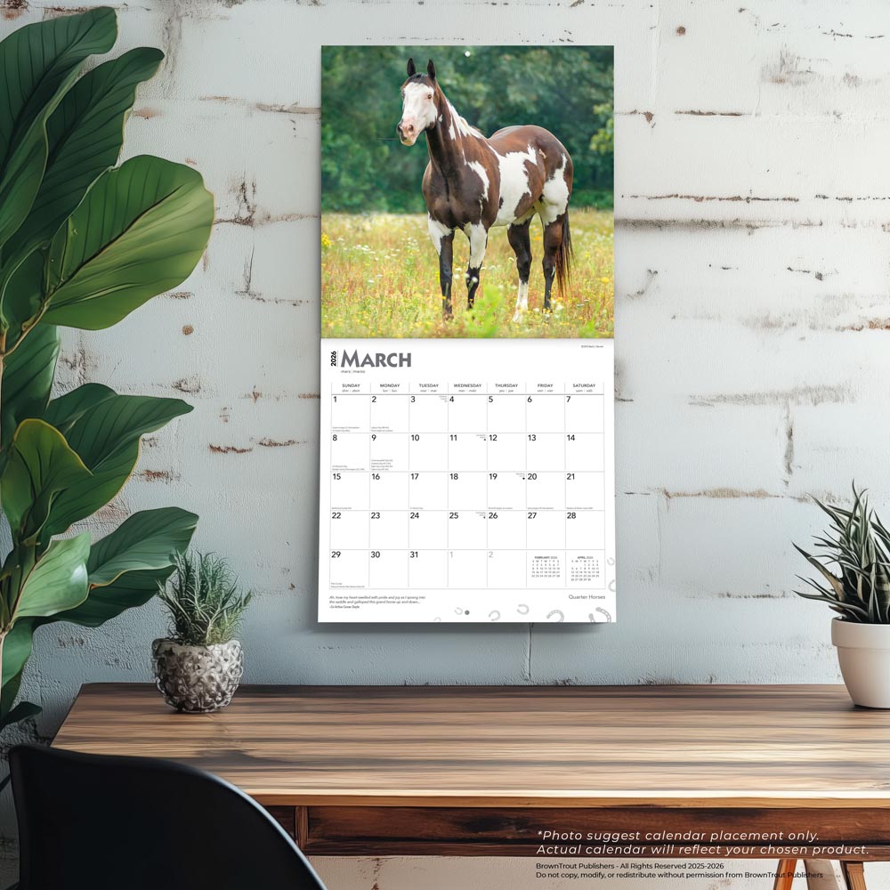 Quarter Horses | 2026 12 x 24 Inch (Hanging) Monthly Square Wall Calendar