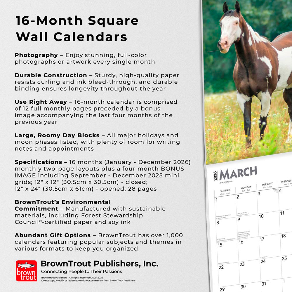 Quarter Horses | 2026 12 x 24 Inch (Hanging) Monthly Square Wall Calendar