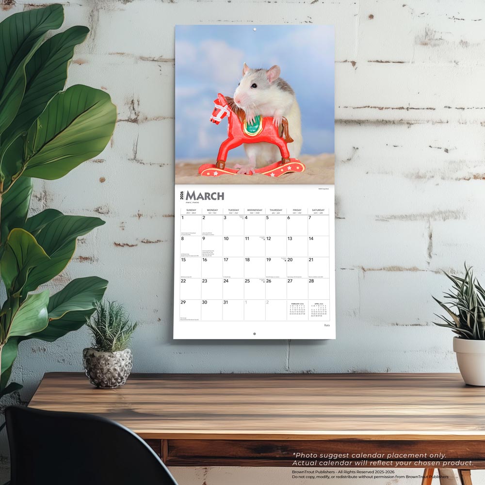 Rats | 2026 12 x 24 Inch (Hanging) Monthly Square Wall Calendar