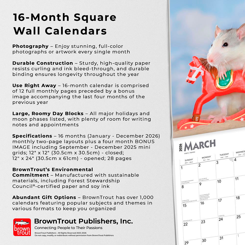 Rats | 2026 12 x 24 Inch (Hanging) Monthly Square Wall Calendar