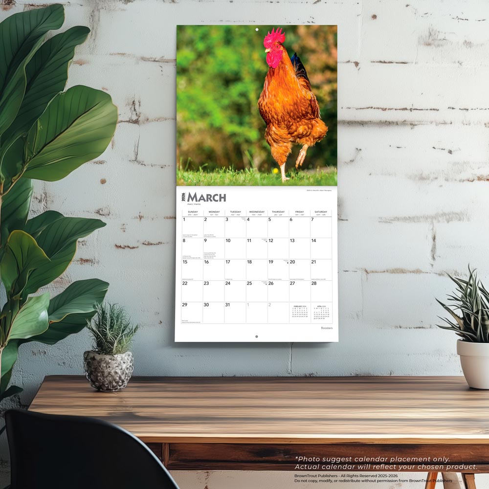Roosters | 2026 12 x 24 Inch (Hanging) Monthly Square Wall Calendar