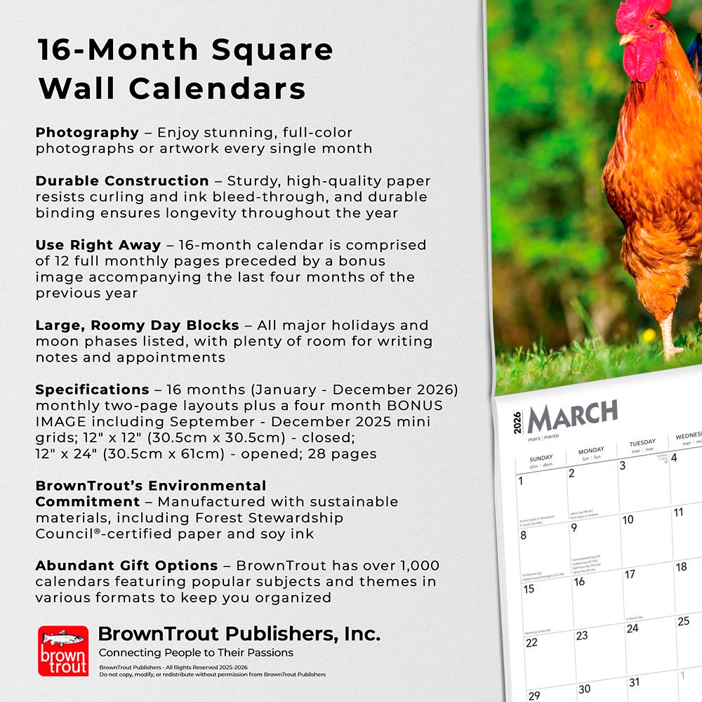 Roosters | 2026 12 x 24 Inch (Hanging) Monthly Square Wall Calendar