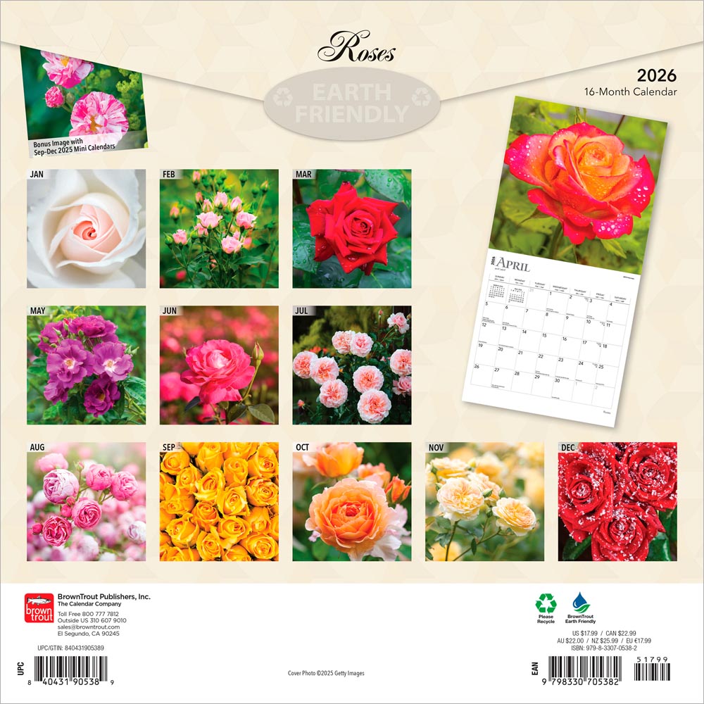 Roses | 2026 12 x 24 Inch (Hanging) Monthly Square Wall Calendar