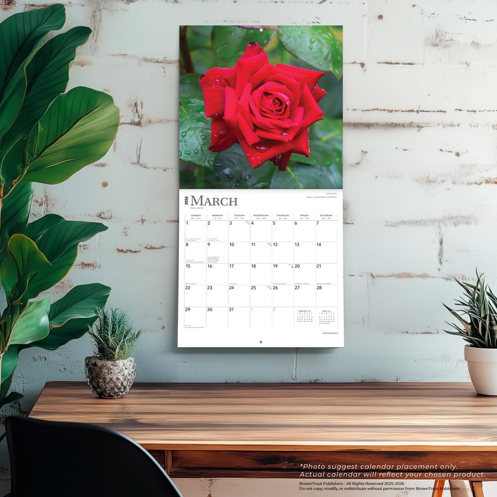 Roses | 2026 12 x 24 Inch (Hanging) Monthly Square Wall Calendar