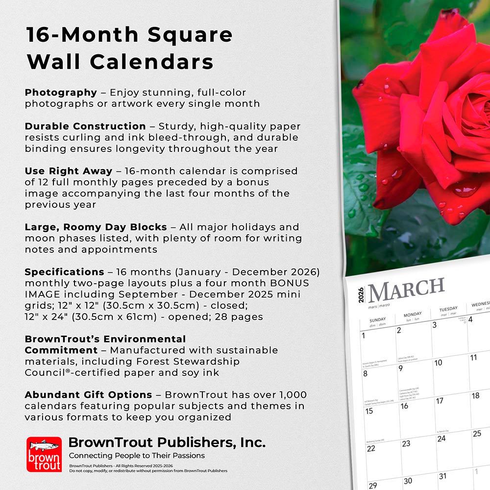 Roses | 2026 12 x 24 Inch (Hanging) Monthly Square Wall Calendar