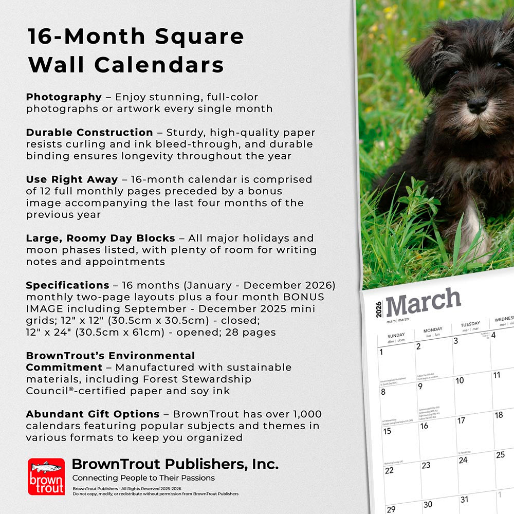 Schnauzer Puppies | 2026 12 x 24 Inch (Hanging) Monthly Square Wall Calendar