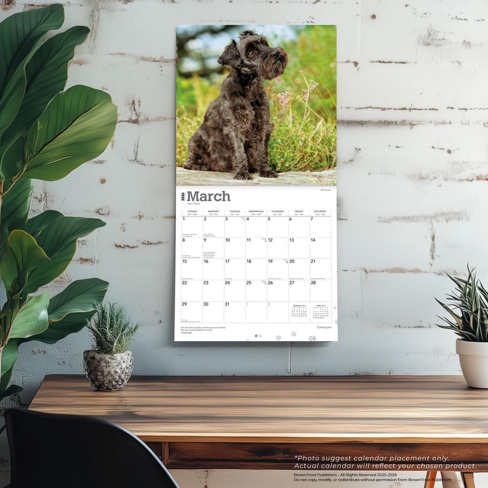 Schnauzers | 2026 12 x 24 Inch (Hanging) Monthly Square Wall Calendar