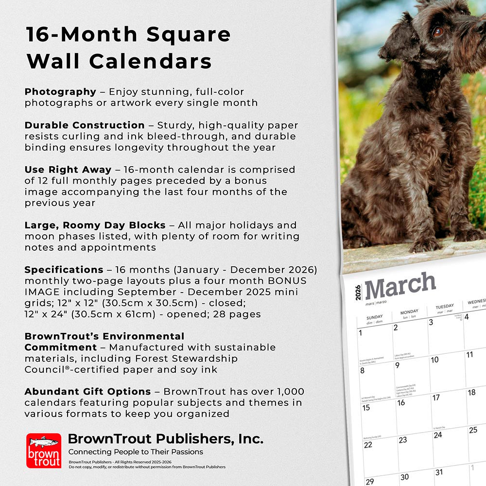 Schnauzers | 2026 12 x 24 Inch (Hanging) Monthly Square Wall Calendar