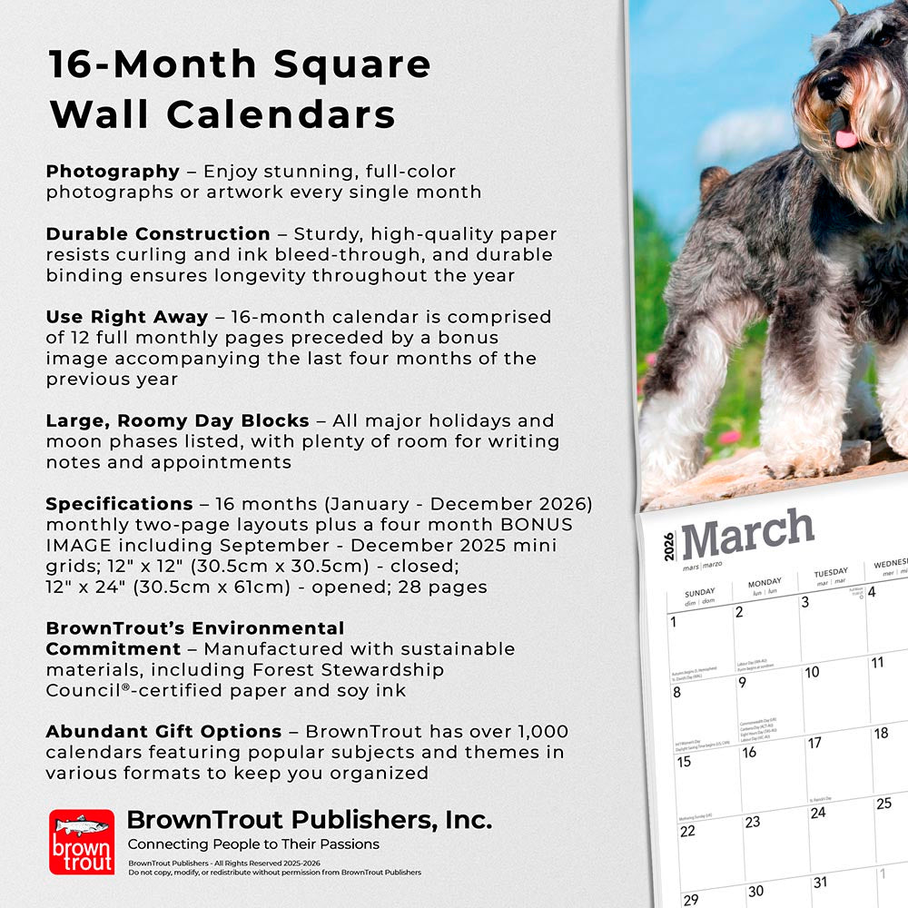 Miniature Schnauzers | 2026 12 x 24 Inch (Hanging) Monthly Square Wall Calendar