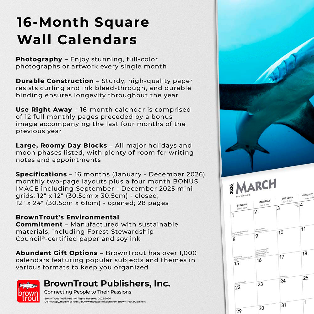 Sharks | 2026 12 x 24 Inch (Hanging) Monthly Square Wall Calendar