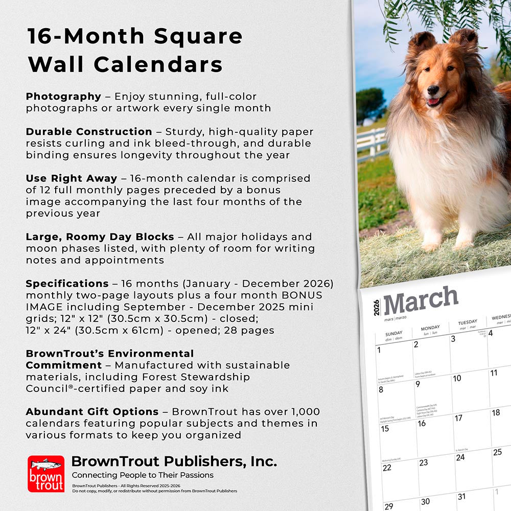 Shetland Sheepdogs | 2026 12 x 24 Inch (Hanging) Monthly Square Wall Calendar