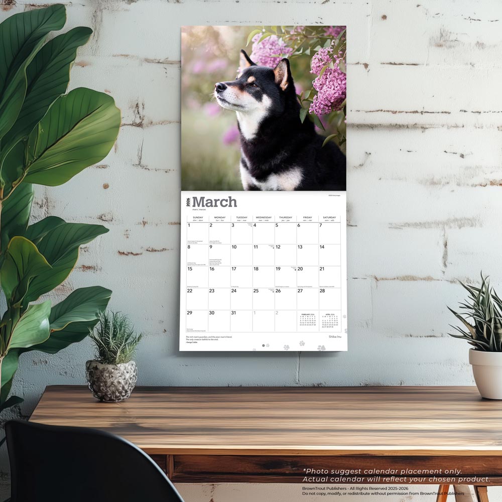 Shiba Inu | 2026 12 x 24 Inch (Hanging) Monthly Square Wall Calendar