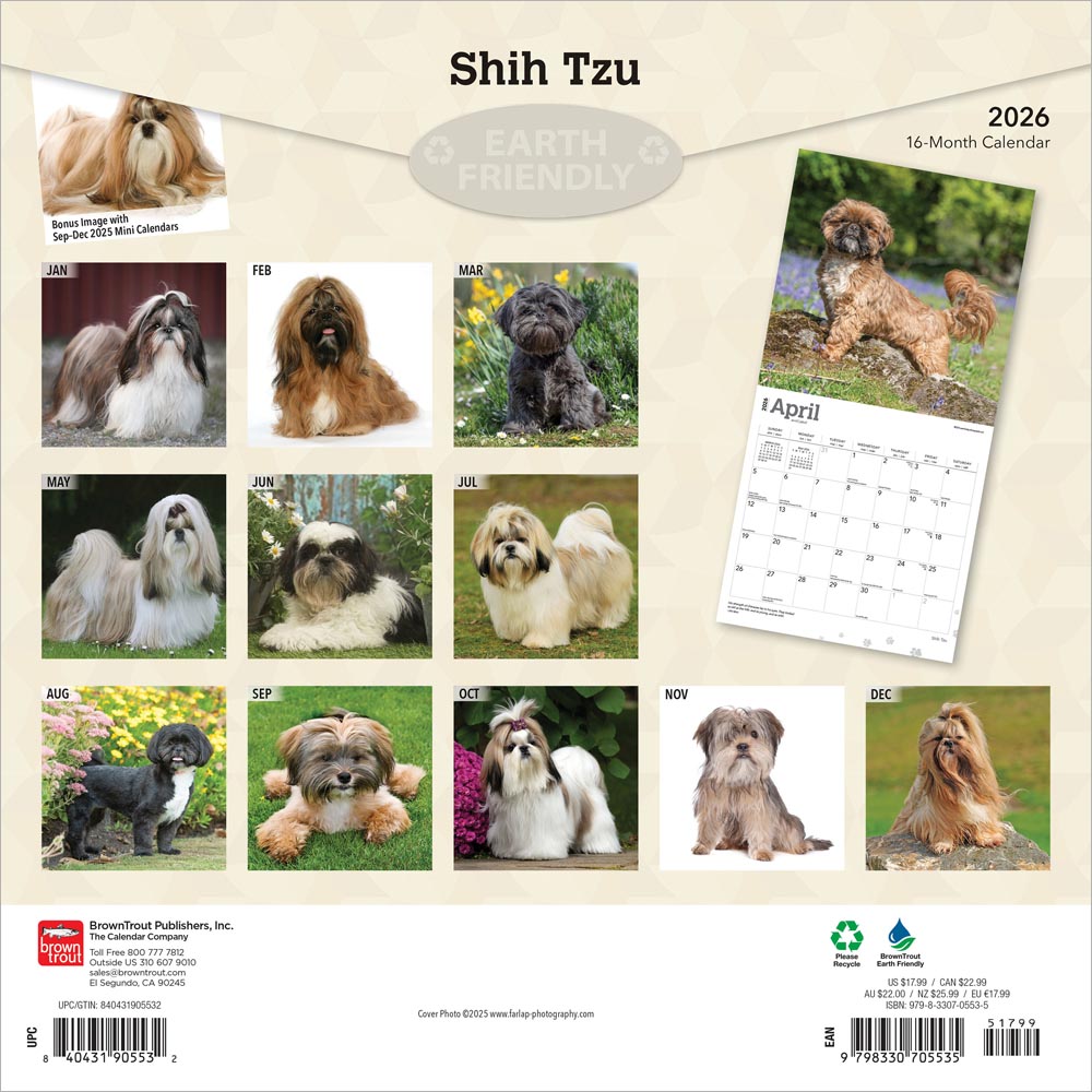 Shih Tzu | 2026 12 x 24 Inch (Hanging) Monthly Square Wall Calendar