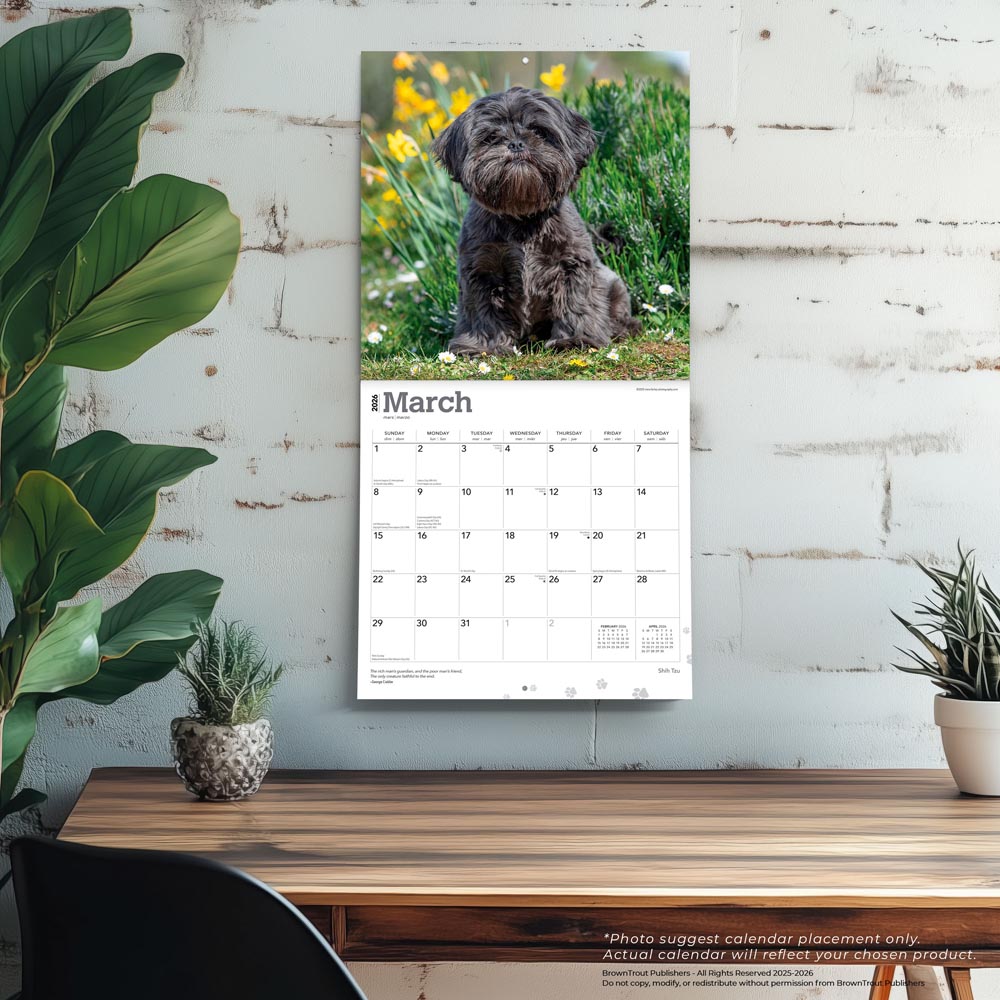 Shih Tzu | 2026 12 x 24 Inch (Hanging) Monthly Square Wall Calendar