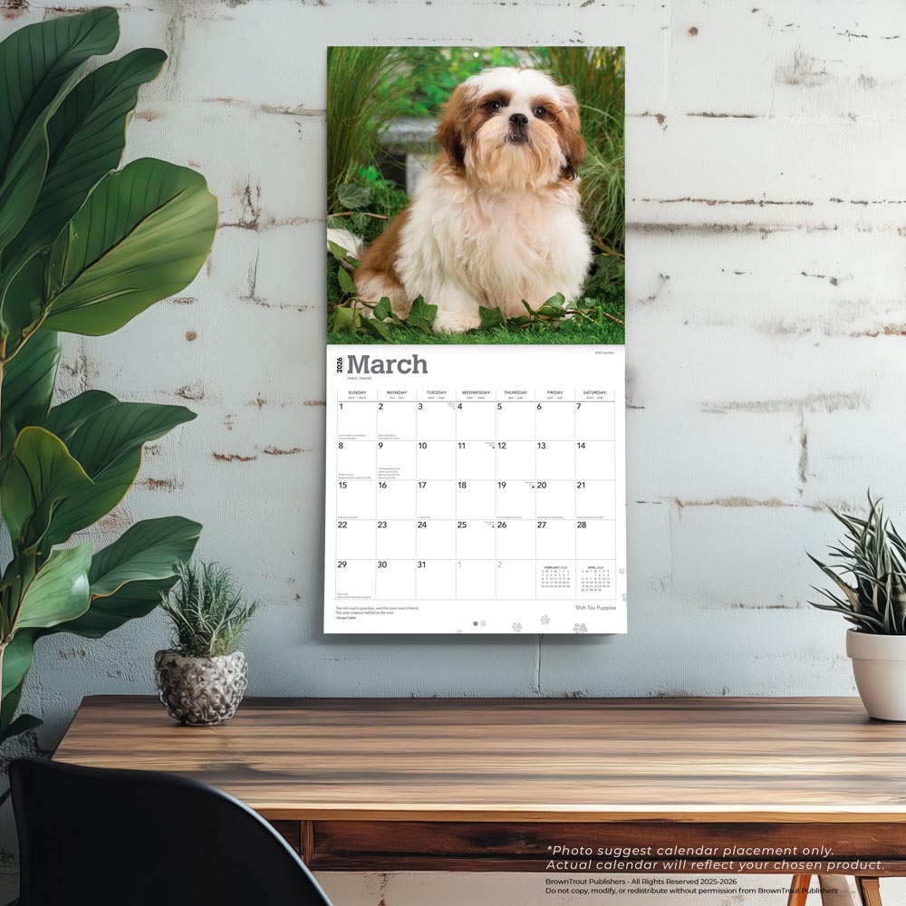 Shih Tzu Puppies | 2026 12 x 24 Inch (Hanging) Monthly Square Wall Calendar