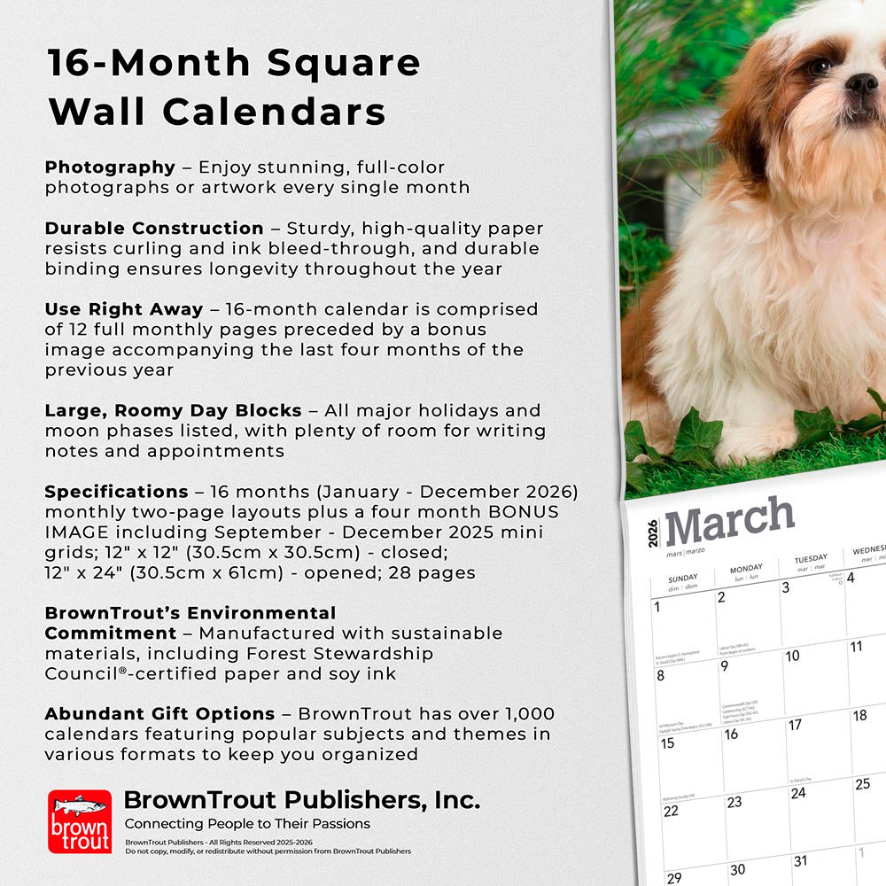 Shih Tzu Puppies | 2026 12 x 24 Inch (Hanging) Monthly Square Wall Calendar