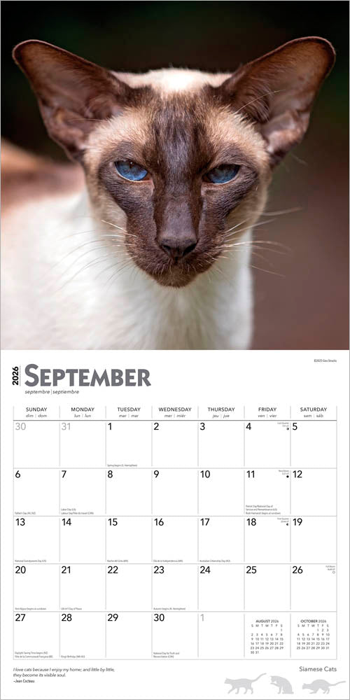 Siamese Cats | 2026 12 x 24 Inch (Hanging) Monthly Square Wall Calendar
