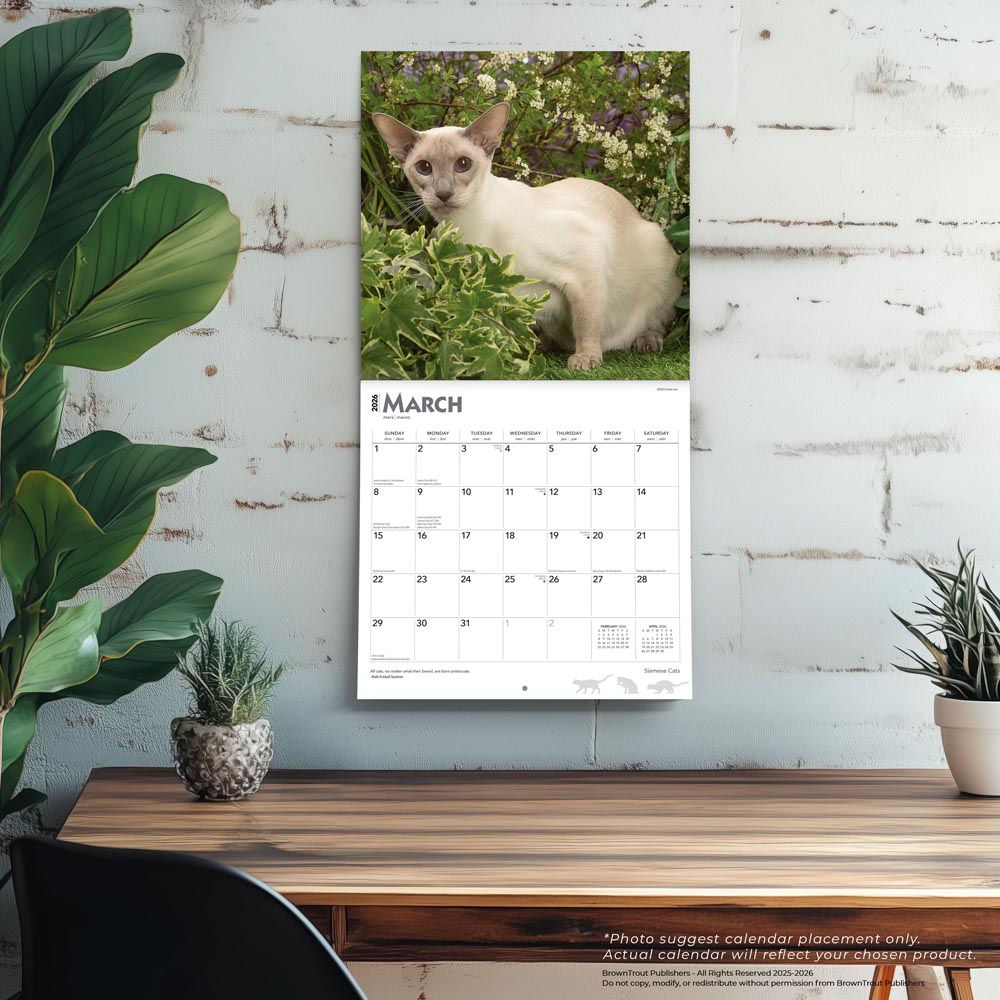 Siamese Cats | 2026 12 x 24 Inch (Hanging) Monthly Square Wall Calendar