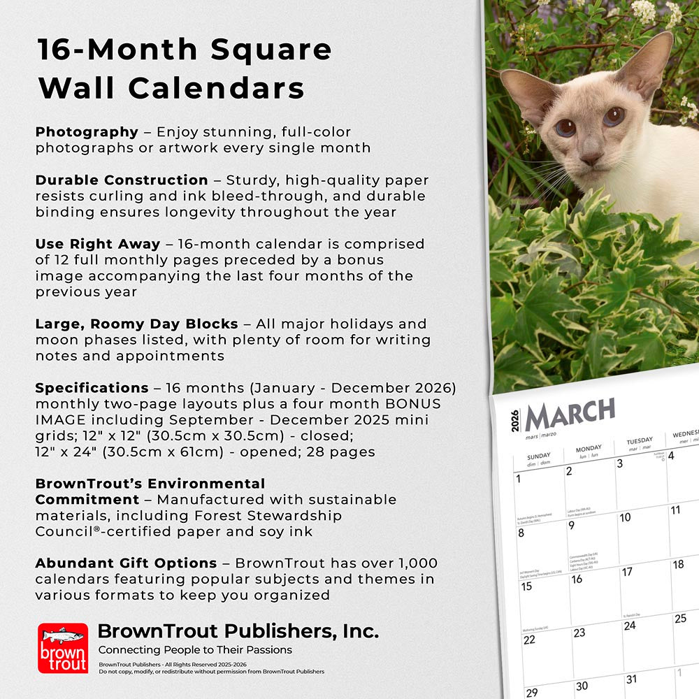 Siamese Cats | 2026 12 x 24 Inch (Hanging) Monthly Square Wall Calendar