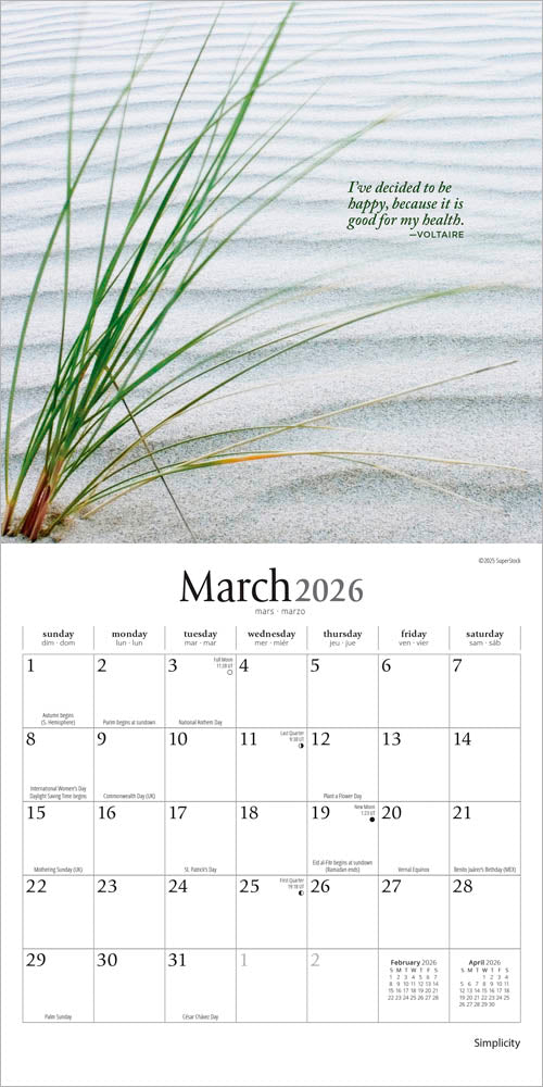 Simplicity | 2026 7 x 14 Inch (Hanging) Monthly Mini Wall Calendar