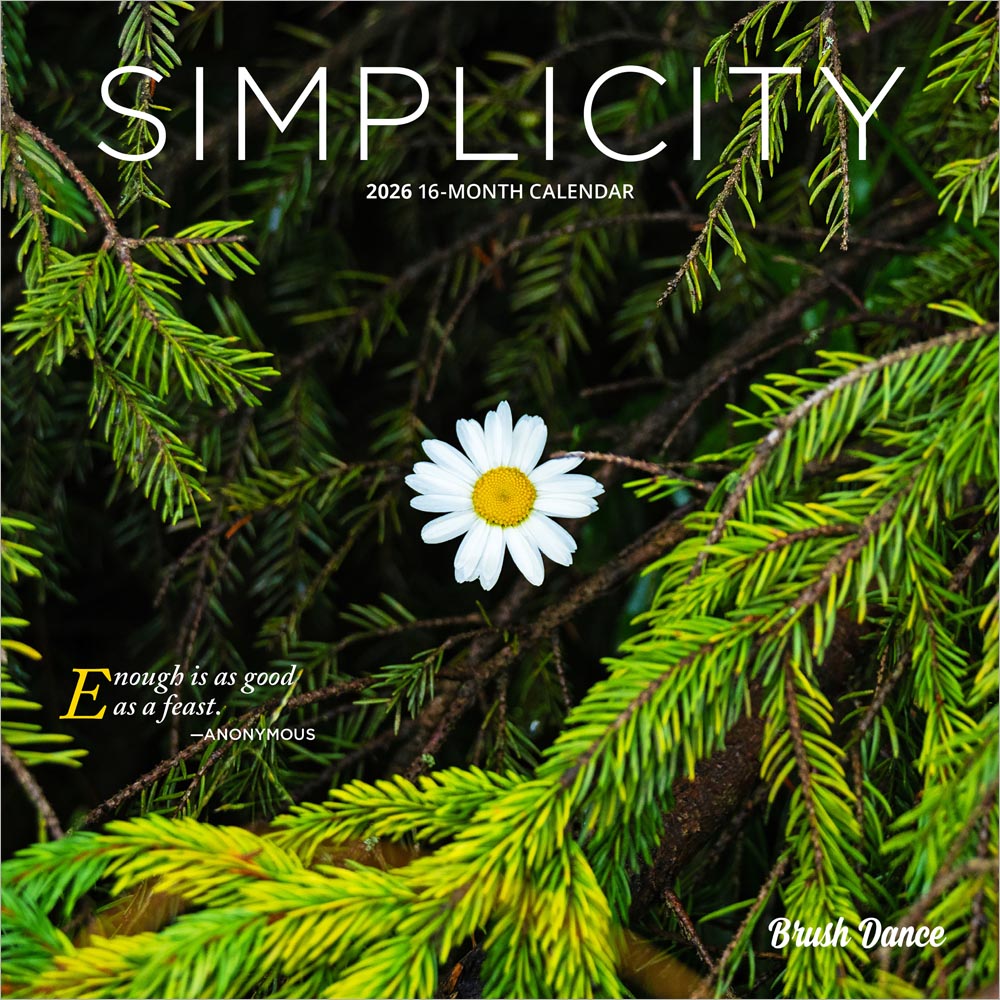 Simplicity | 2026 7 x 14 Inch (Hanging) Monthly Mini Wall Calendar
