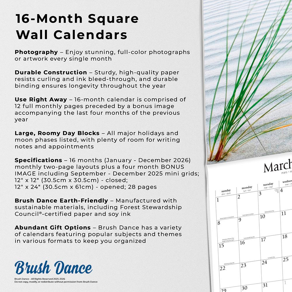 Simplicity | 2026 12 x 24 Inch (Hanging) Monthly Square Wall Calendar