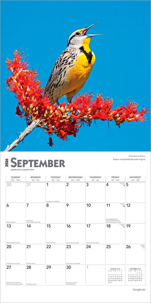 Songbirds | 2026 12 x 24 Inch (Hanging) Monthly Square Wall Calendar | Foil Stamped Cover