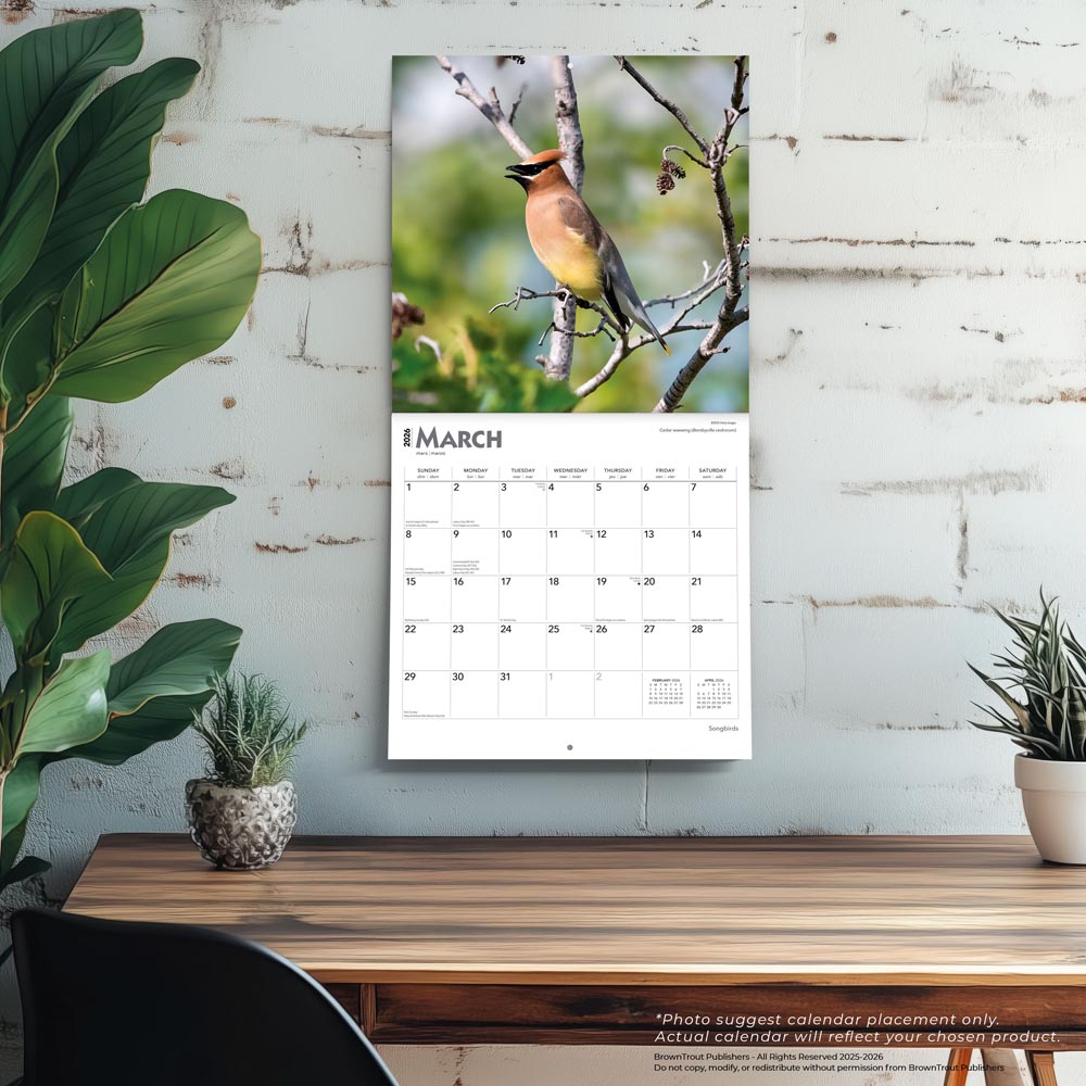 Songbirds | 2026 12 x 24 Inch (Hanging) Monthly Square Wall Calendar | Foil Stamped Cover