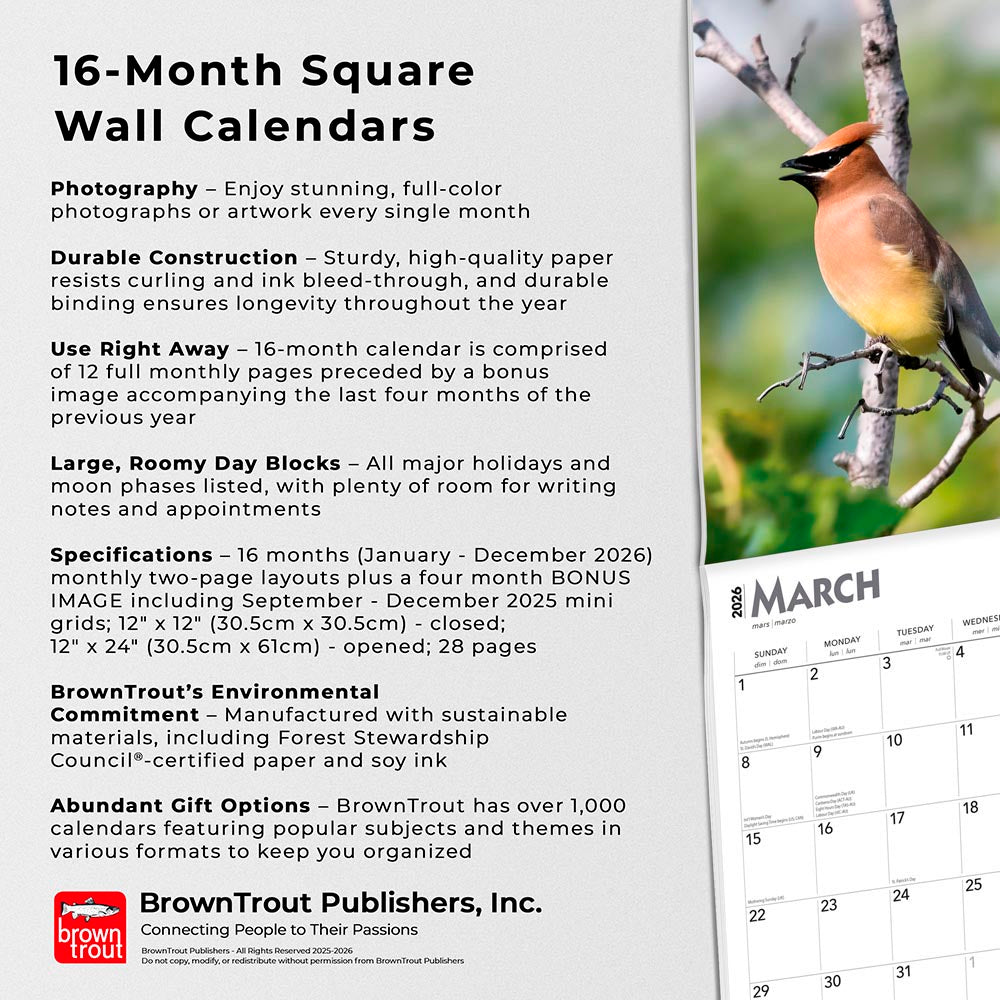 Songbirds | 2026 12 x 24 Inch (Hanging) Monthly Square Wall Calendar | Foil Stamped Cover