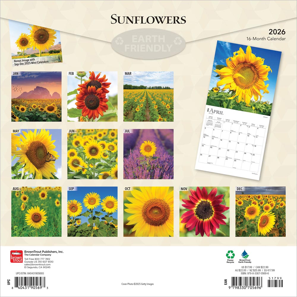 Sunflowers | 2026 12 x 24 Inch (Hanging) Monthly Square Wall Calendar