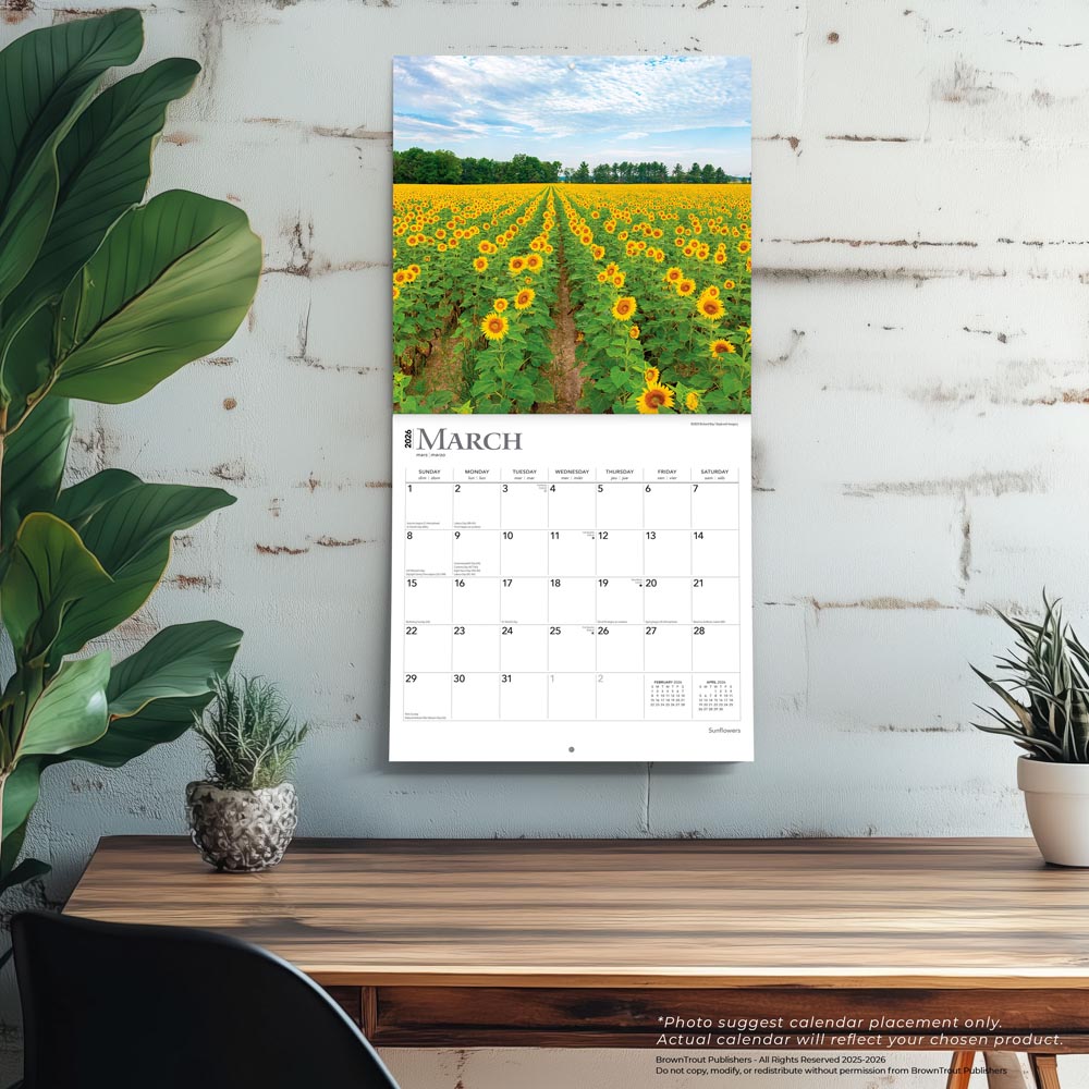 Sunflowers | 2026 12 x 24 Inch (Hanging) Monthly Square Wall Calendar