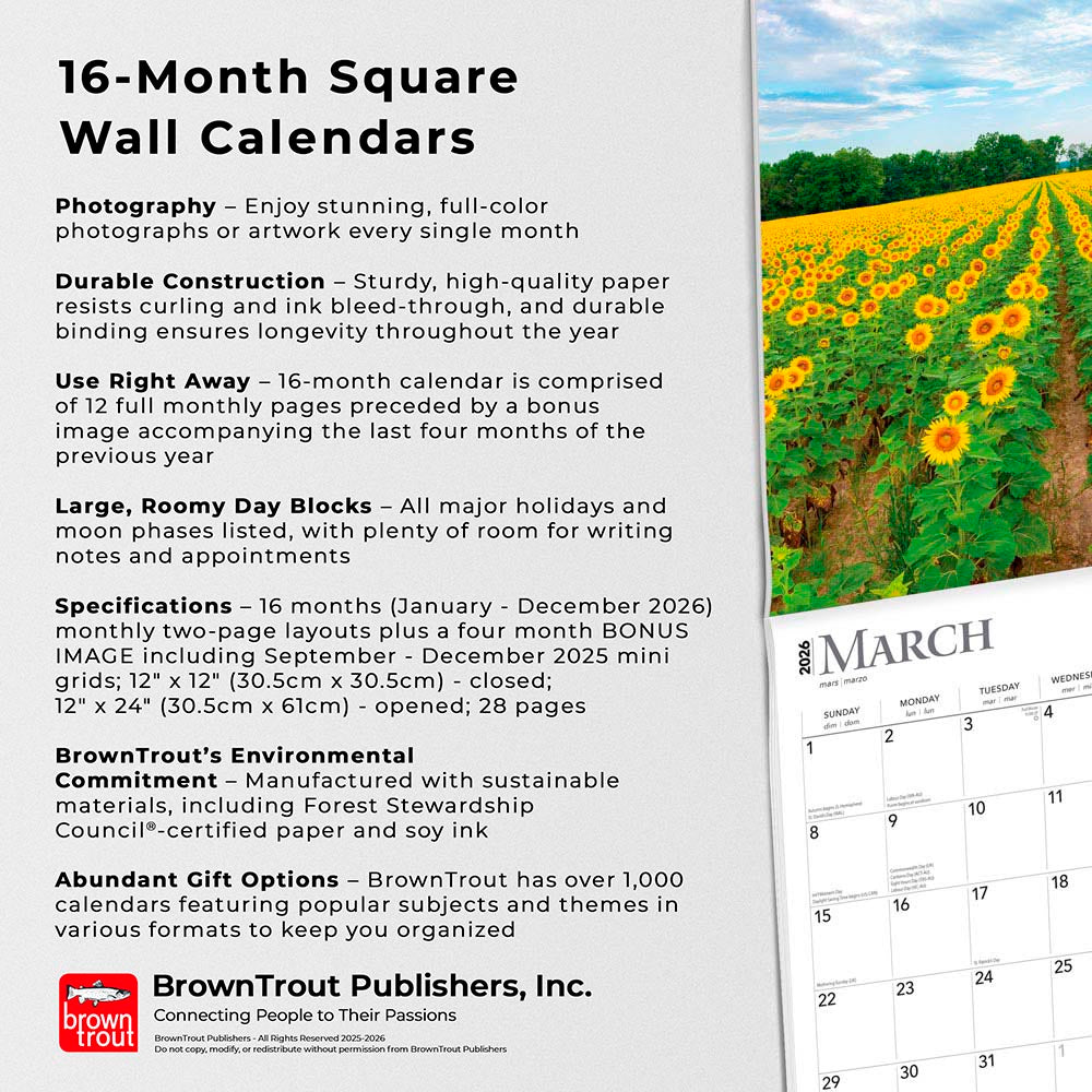 Sunflowers | 2026 12 x 24 Inch (Hanging) Monthly Square Wall Calendar