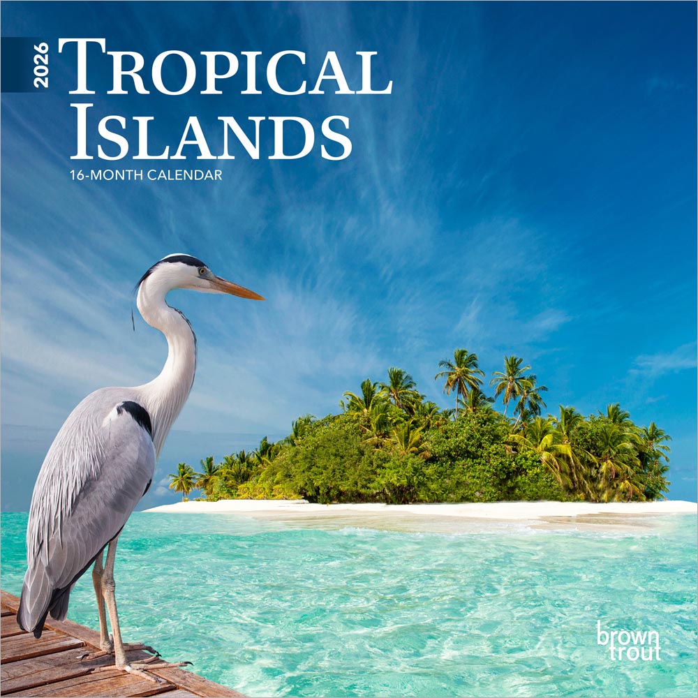 Tropical Islands | 2026 7 x 14 Inch (Hanging) Monthly Mini Wall Calendar