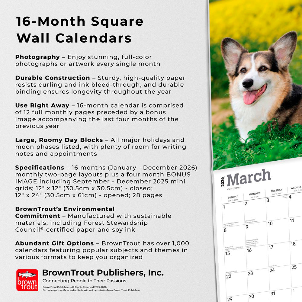 Pembroke Welsh Corgis | 2026 12 x 24 Inch (Hanging) Monthly Square Wall Calendar