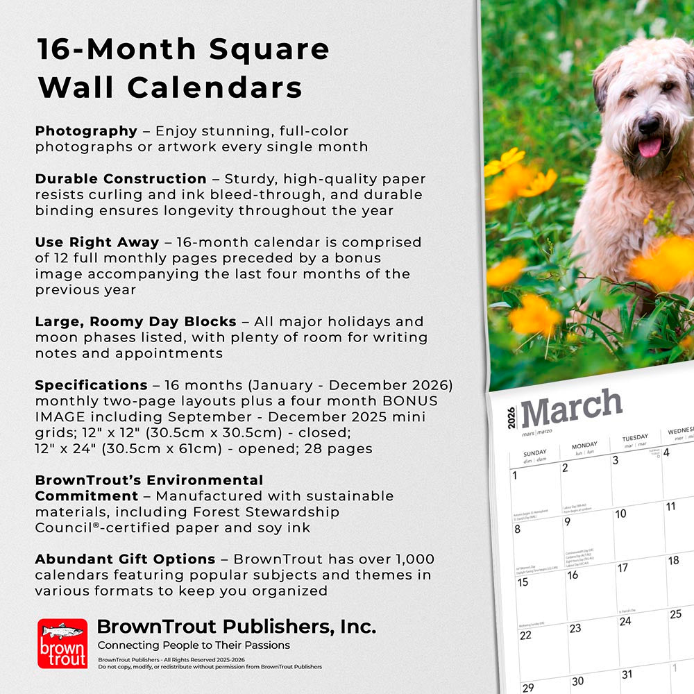 Soft Coated Wheaten Terriers | 2026 12 x 24 Inch (Hanging) Monthly Square Wall Calendar
