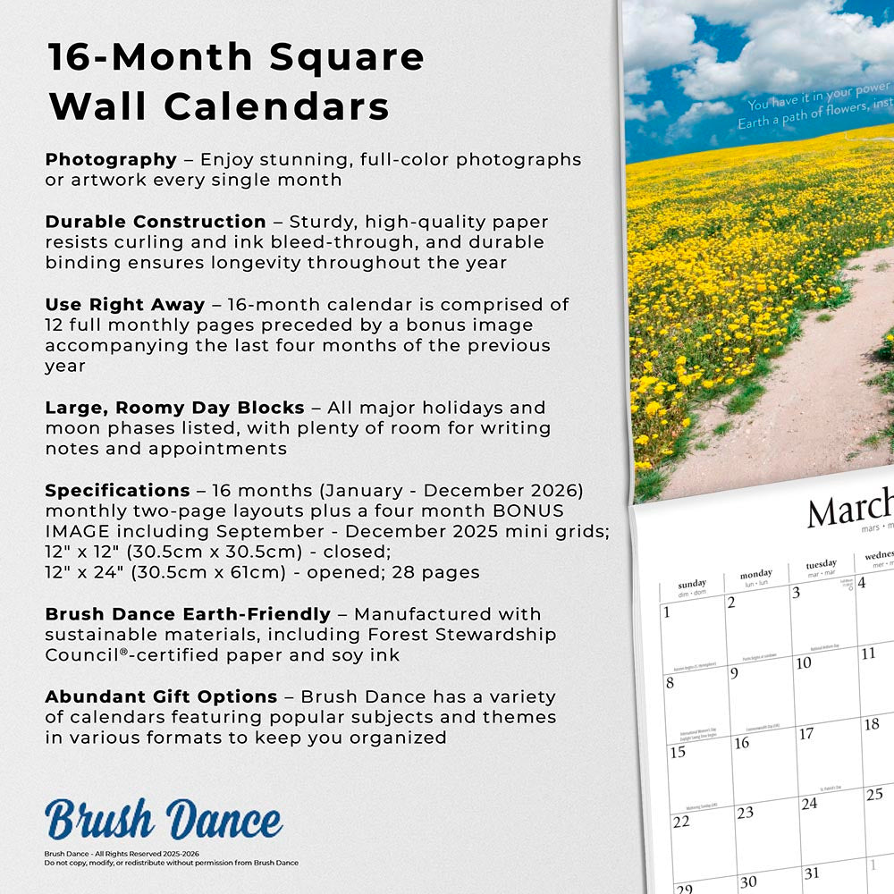 Pathways | 2026 12 x 24 Inch (Hanging) Monthly Square Wall Calendar