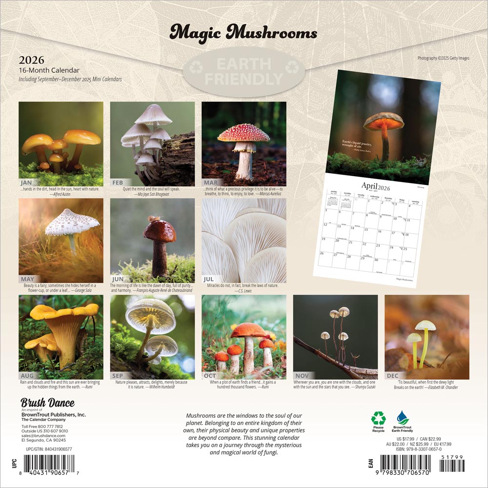 Magic Mushrooms | 2026 12 x 24 Inch (Hanging) Monthly Square Wall Calendar