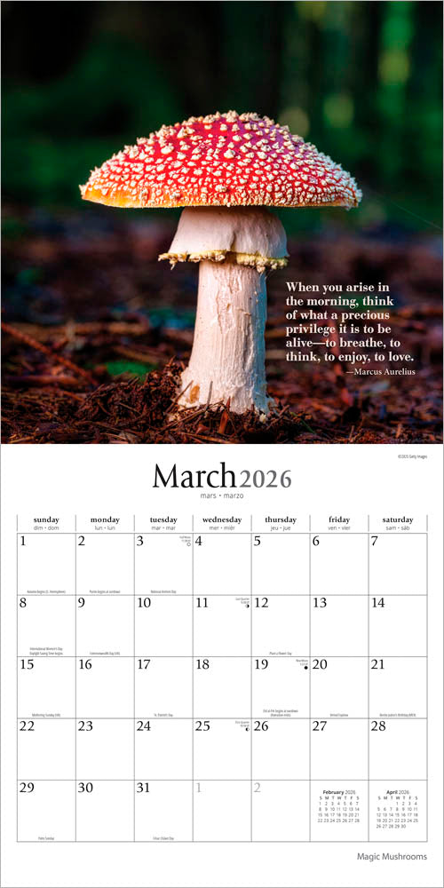 Magic Mushrooms | 2026 12 x 24 Inch (Hanging) Monthly Square Wall Calendar