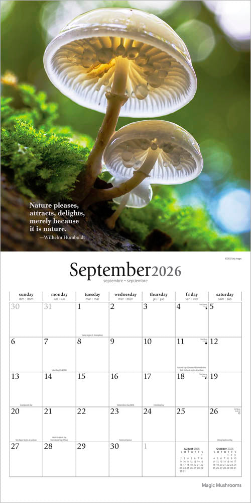 Magic Mushrooms | 2026 12 x 24 Inch (Hanging) Monthly Square Wall Calendar