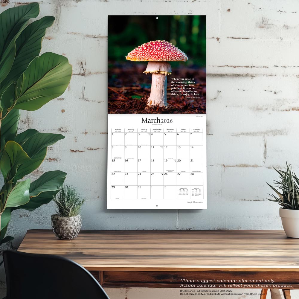Magic Mushrooms | 2026 12 x 24 Inch (Hanging) Monthly Square Wall Calendar