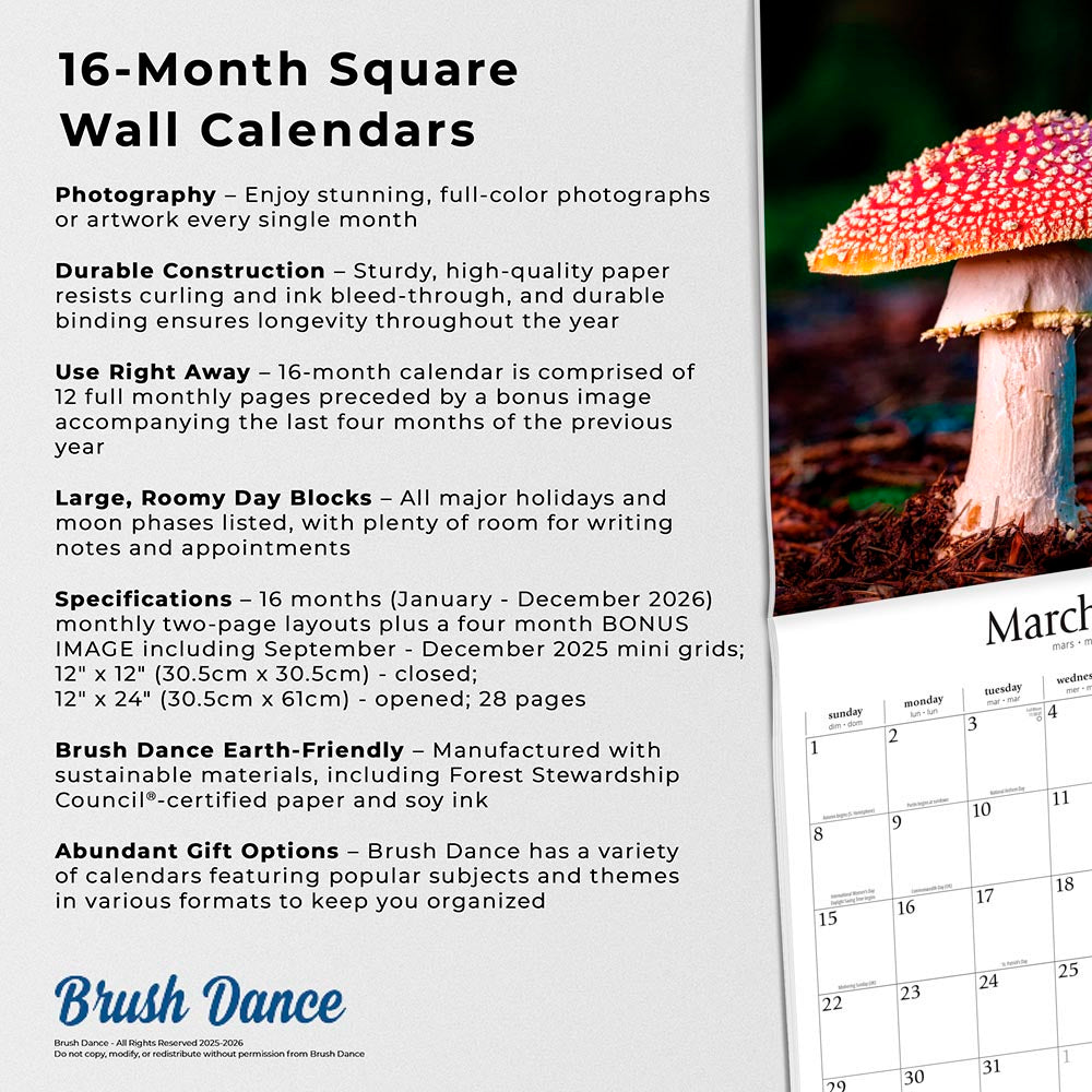 Magic Mushrooms | 2026 12 x 24 Inch (Hanging) Monthly Square Wall Calendar